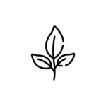 leaf icon