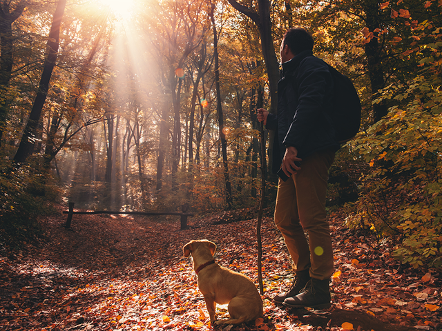 young+man+on+sunlit+forest+path istock 621693420